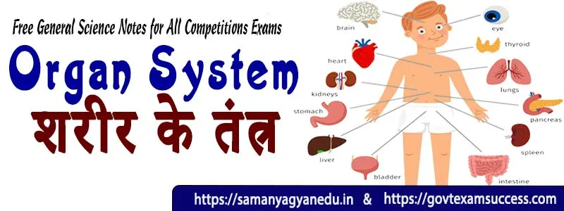 शरीर के तंत्र | Organ System in Hindi